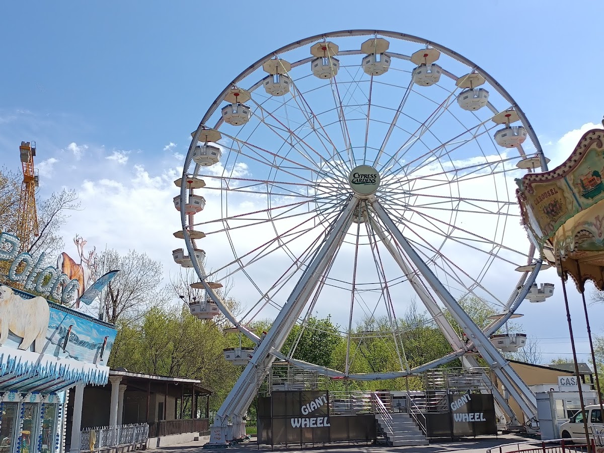 Sat Vacanta Mamaia